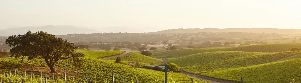 campagne umbre